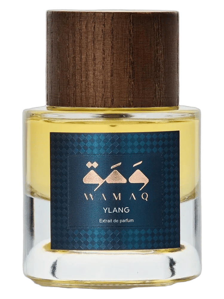 Ylang by WAMAQ