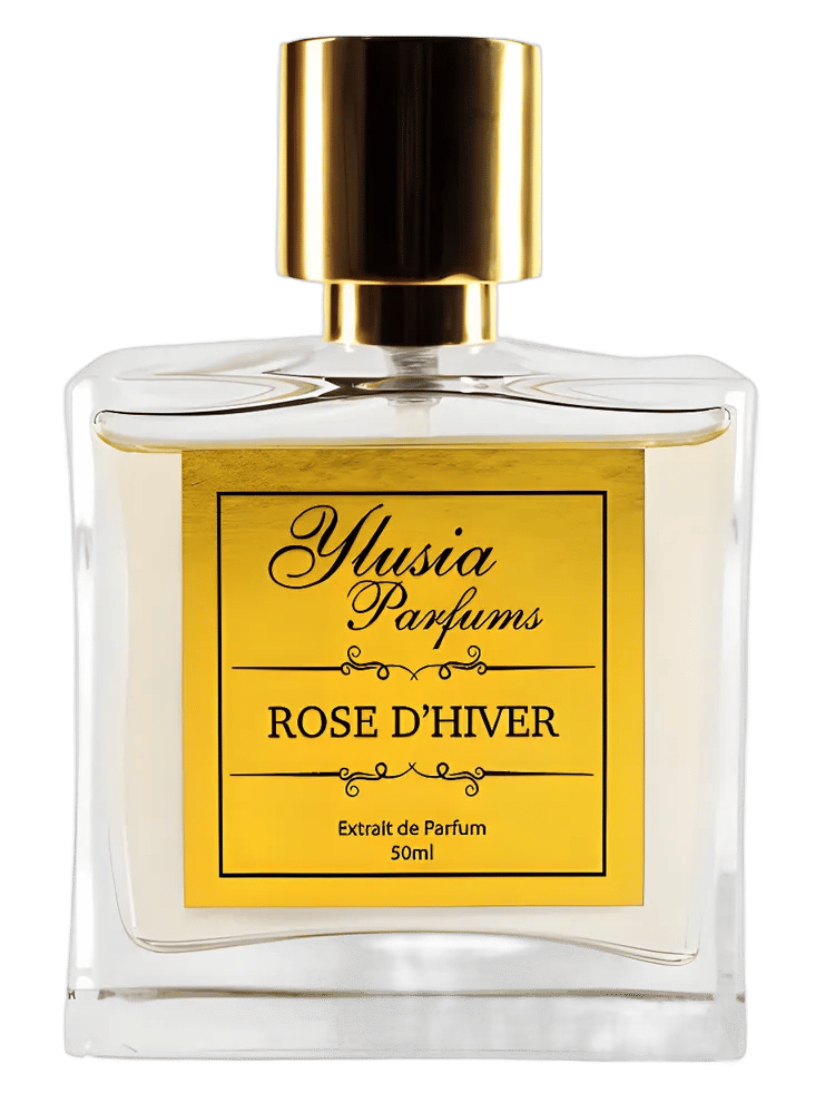Rose d'Hiver by Ylusia Parfums