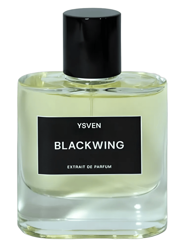 Blackwing by YSVEN