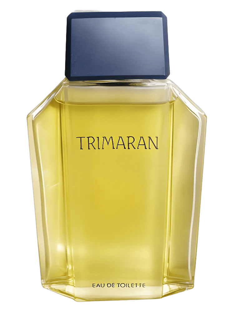 Trimaran 1986 by Yves Rocher