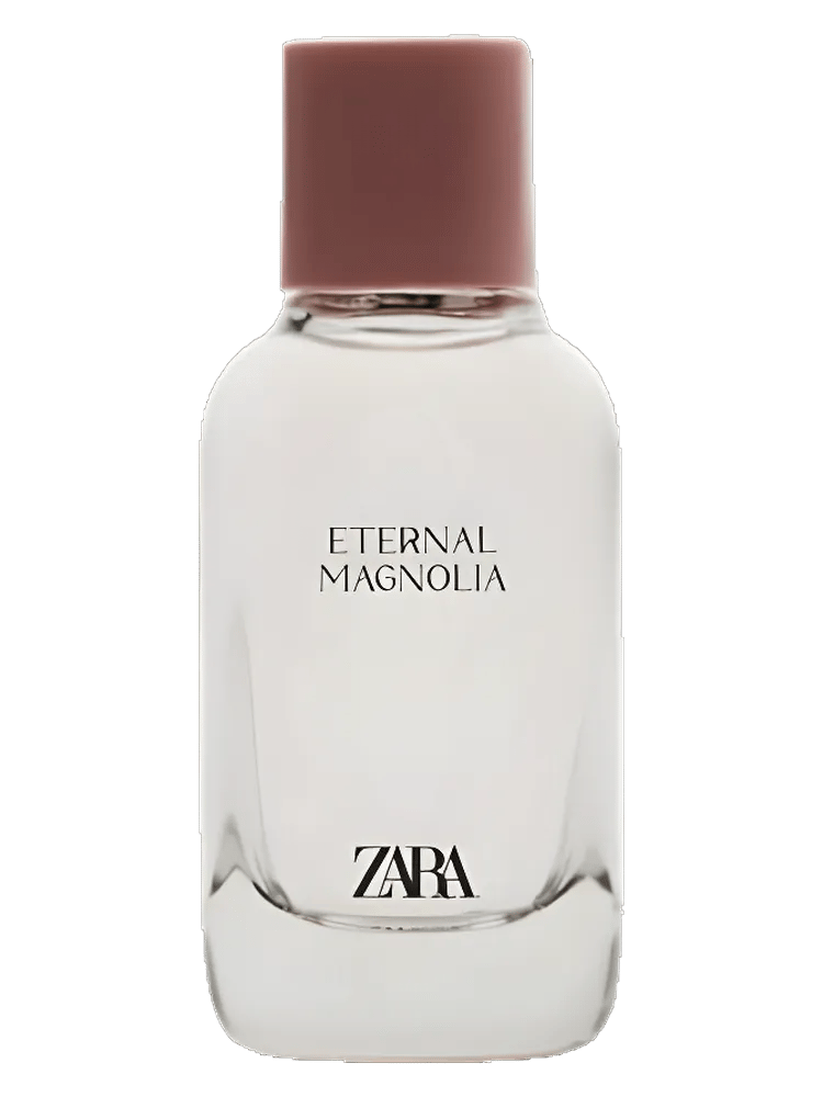 Eternal Magnolia by Zara