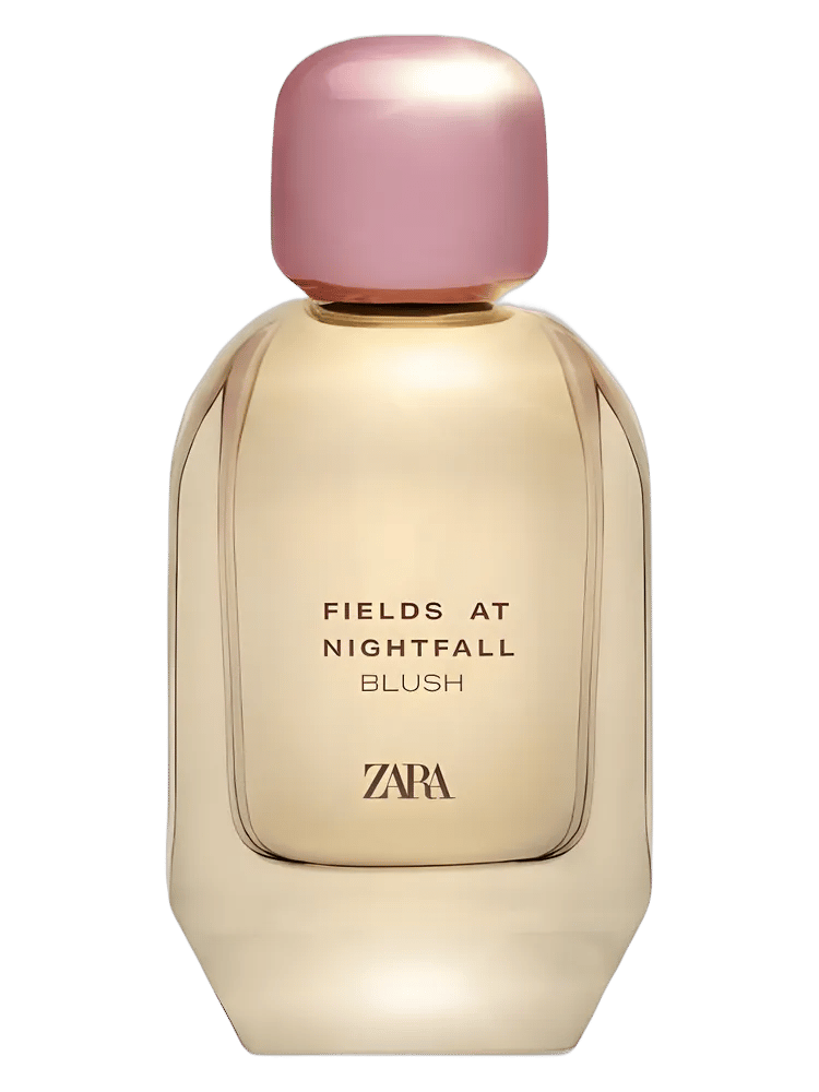 Fields at Nightfall Blush by Zara