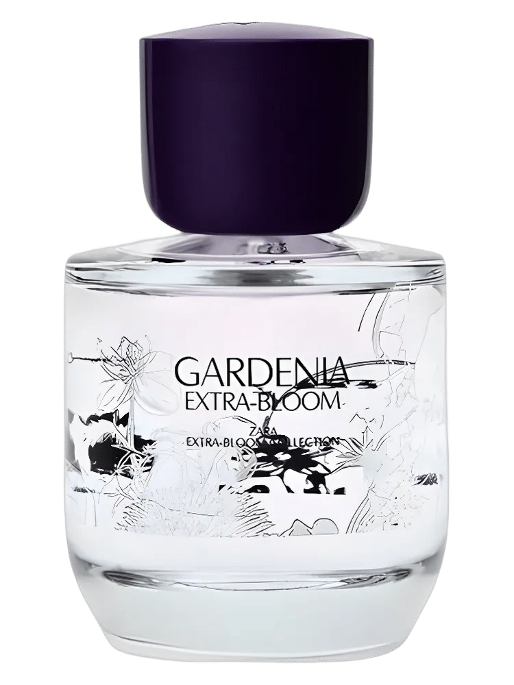 Gardenia Extra-Bloom by Zara
