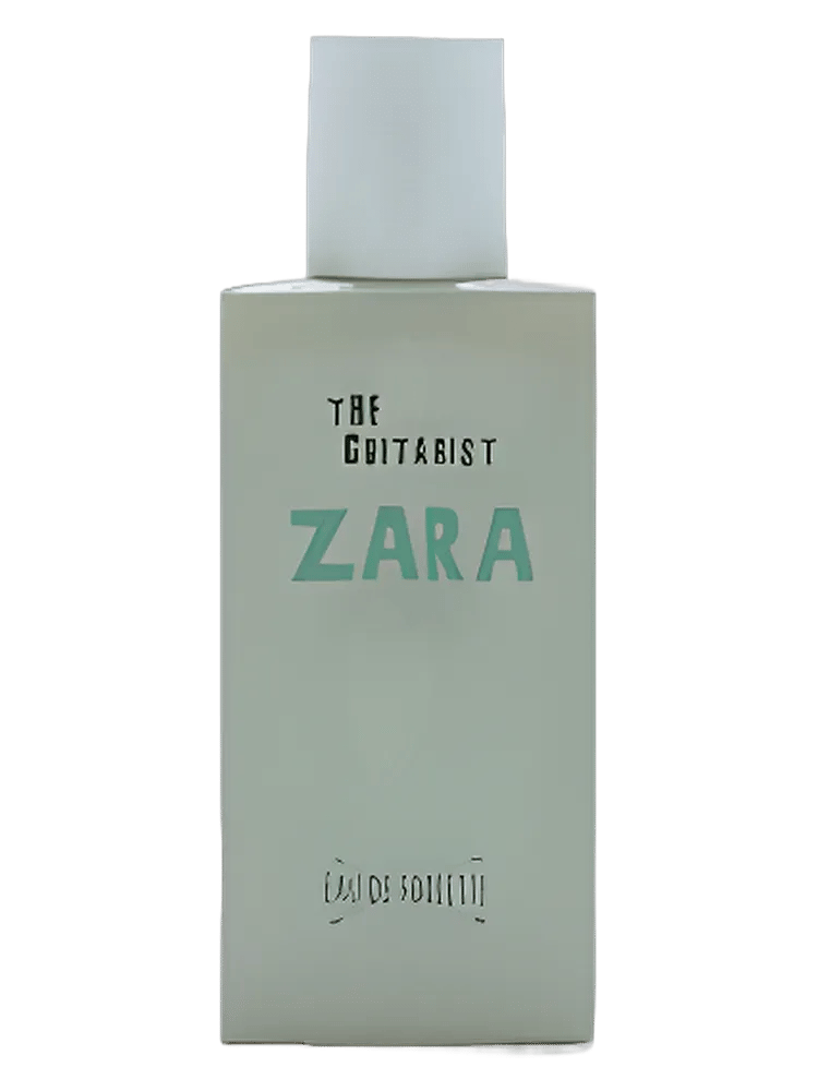 The Guitarist by Zara
