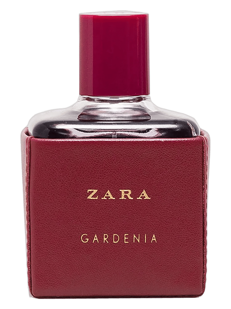 Zara Gardenia 2016 by Zara