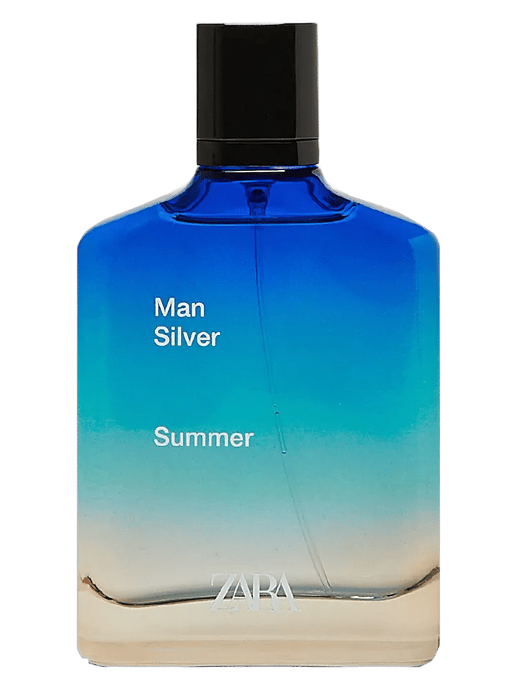 Zara Man Silver Summer 2020 by Zara