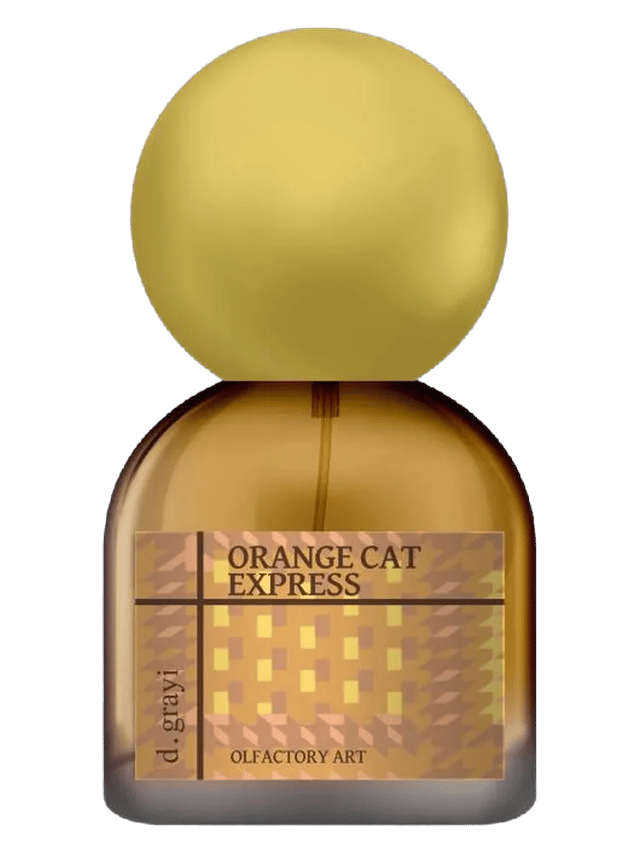 Orange Cat Express by d.grayi