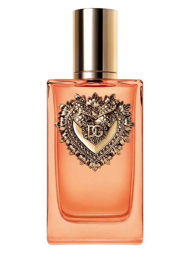 Devotion Intense by Dolce & Gabbana
