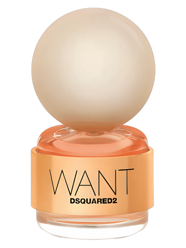 Want by Dsquared2