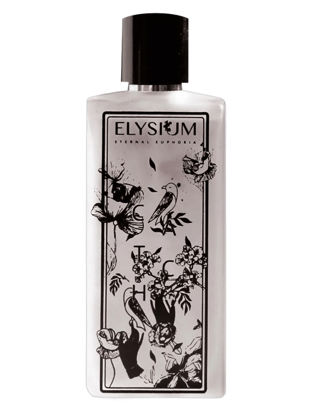 Catchy by Elysium