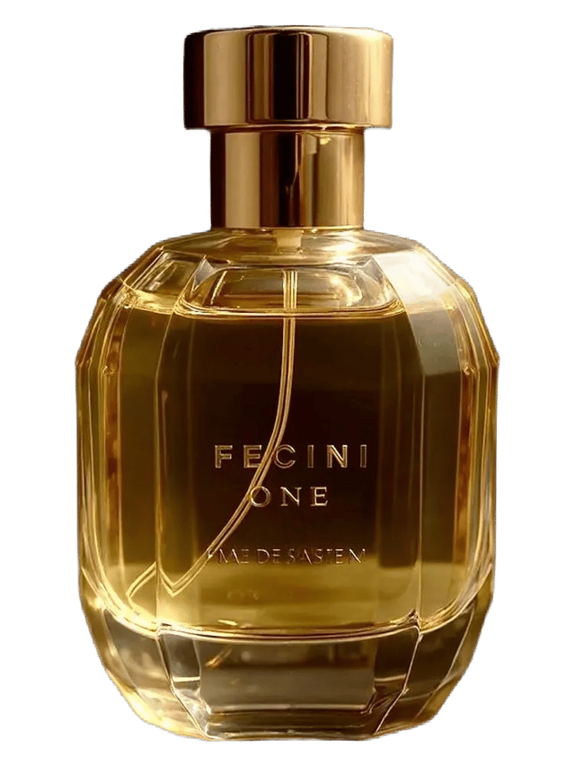 Fecini One by Fecini