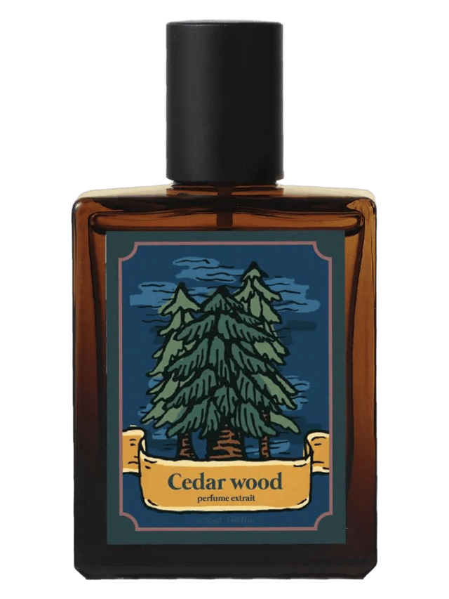 Cedar Wood by Hebron Project