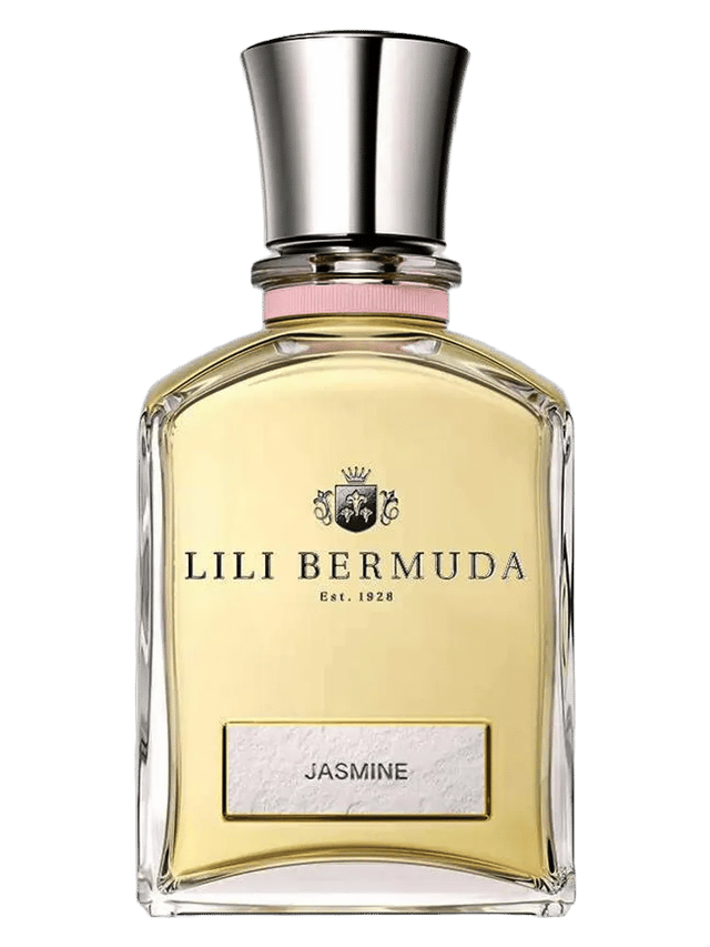 Jasmine by Lili Bermuda