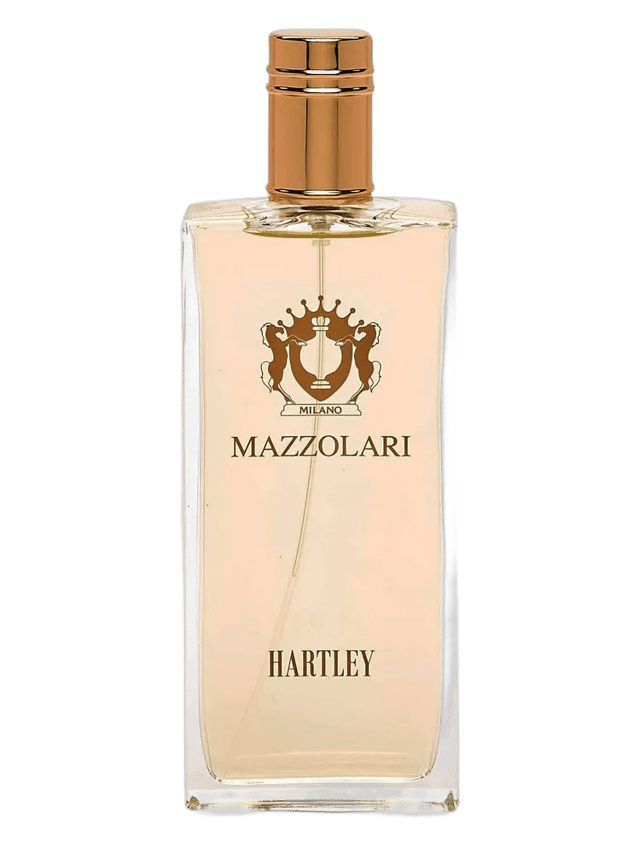 Hartley by Mazzolari