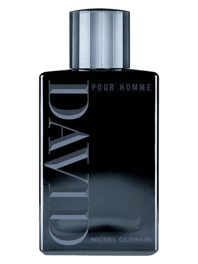 David by Michel Germain