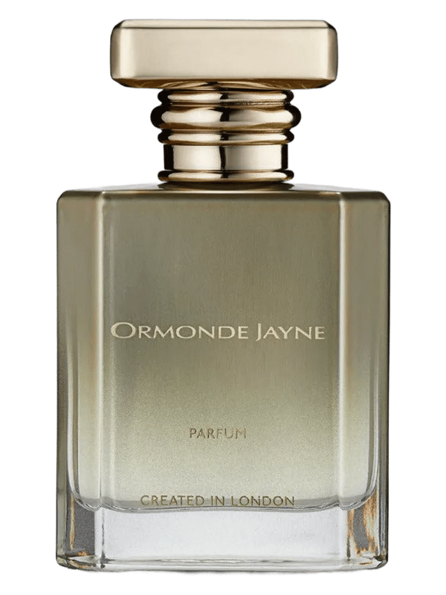 Fearless by Ormonde Jayne