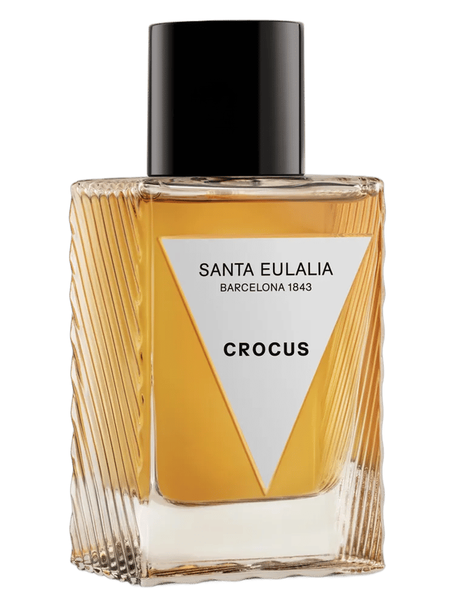 Crocus by Santa Eulalia
