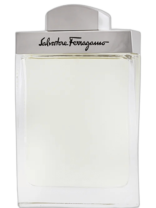 Pour Homme by Salvatore Ferragamo