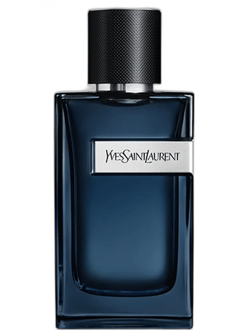 Y Intense by Yves Saint Laurent