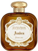 Ambra