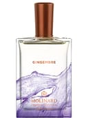 Gingembre