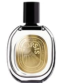 Opsis