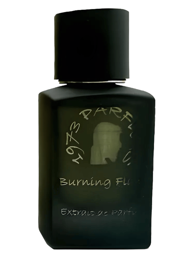Burning Flame by 1973