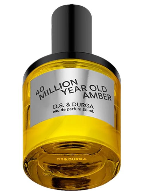 40 Million Year Old Amber by D.S. & Durga