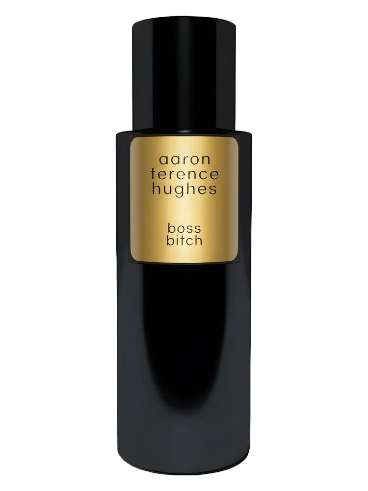 Boss Bitch by Aaron Terence Hughes
