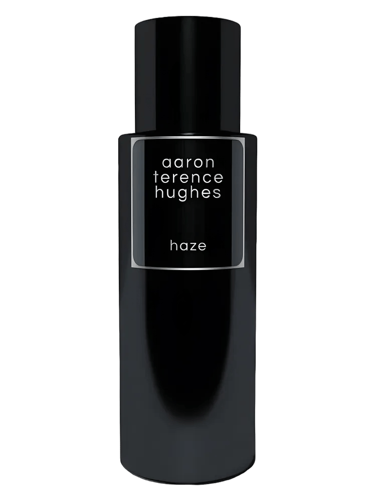 Haze by Aaron Terence Hughes
