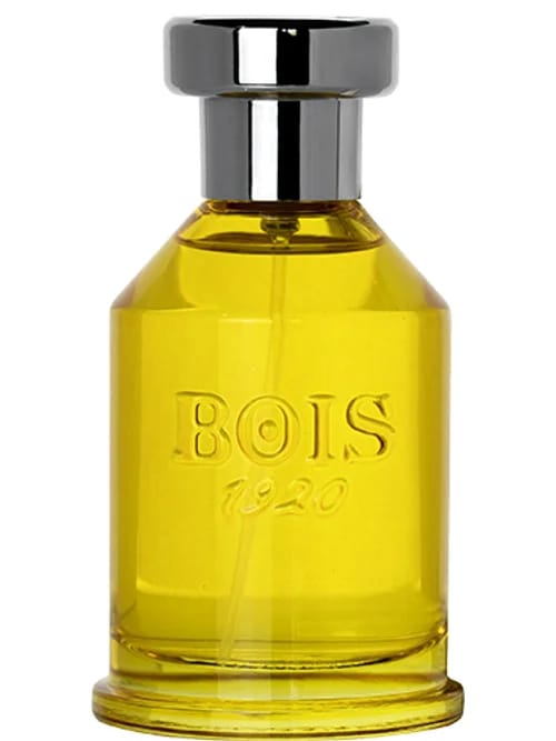 Aethereus by Bois 1920