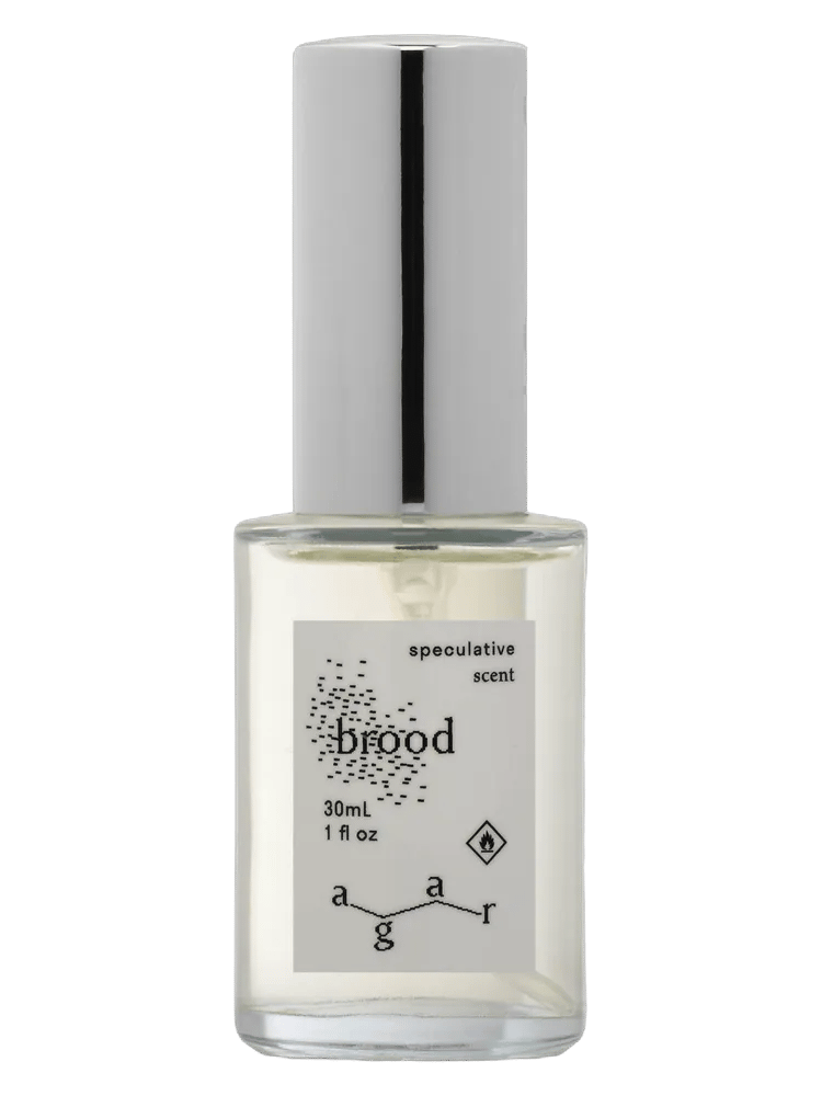 Brood by Agar Olfactory
