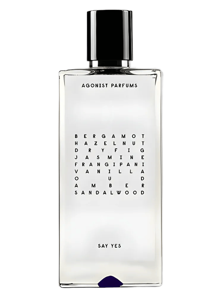 Say Yes by Agonist