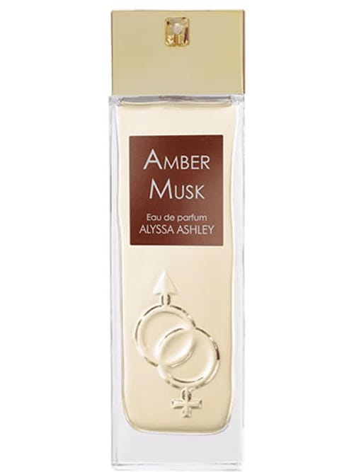 Amber Musk by Alyssa Ashley