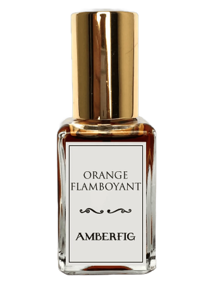 Orange Flamboyant by Amberfig
