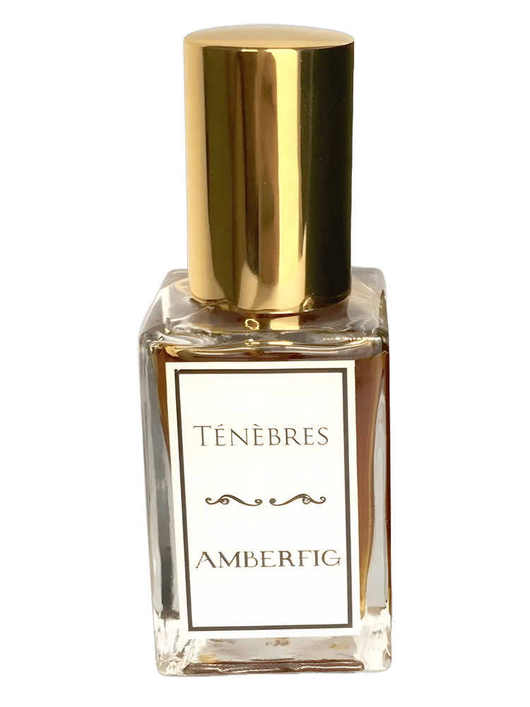 Ténèbres by Amberfig