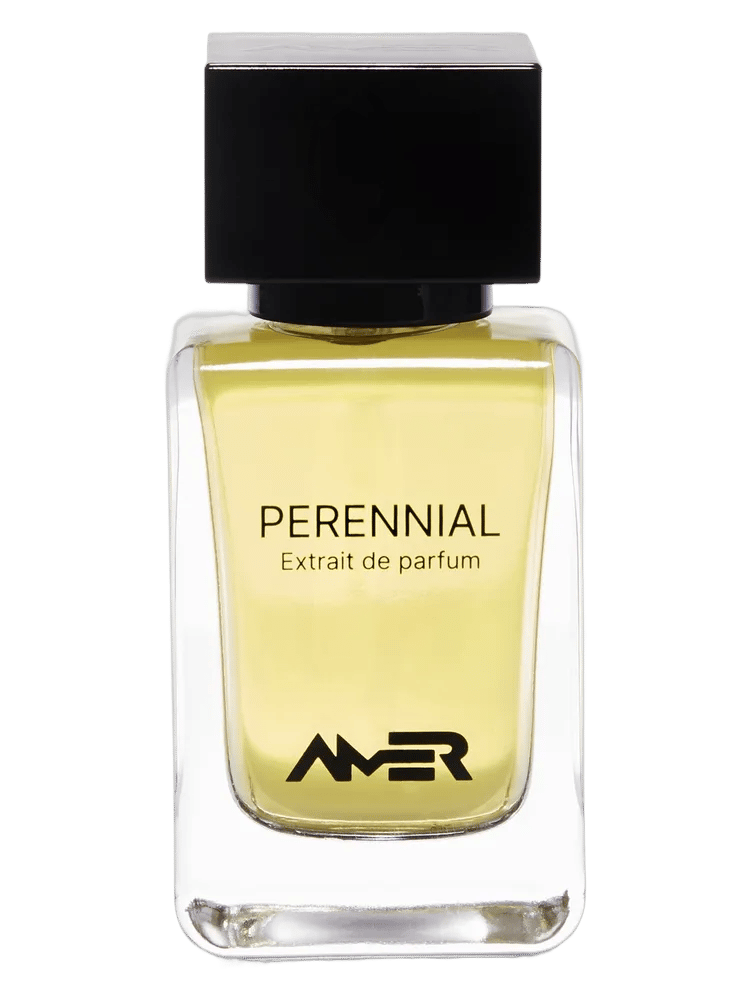 Perennial by Amer Perfumes