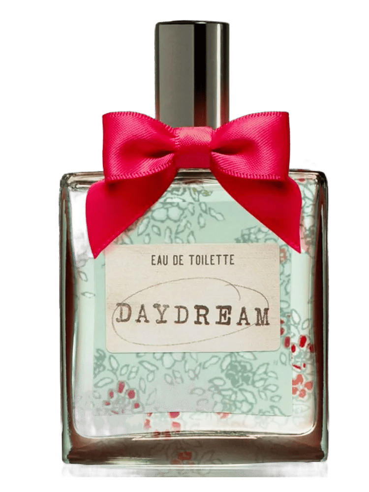 Daydream by American Eagle