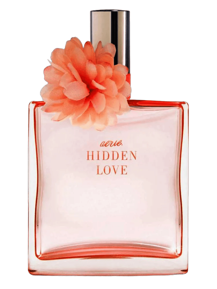 Hidden Love by American Eagle