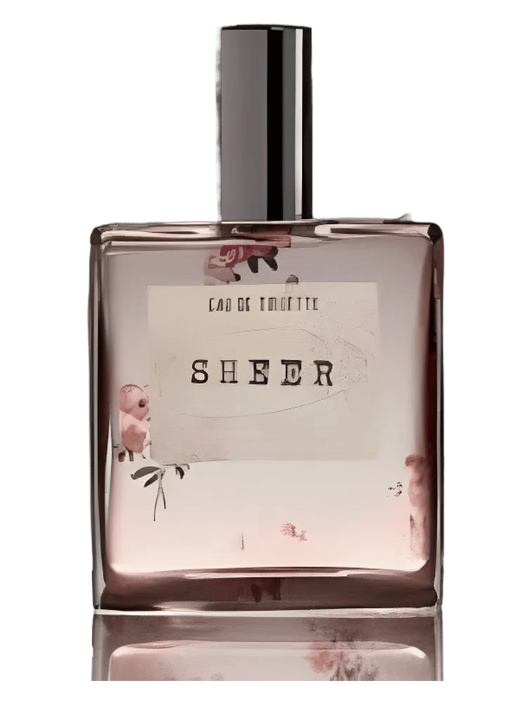 Sheer by American Eagle