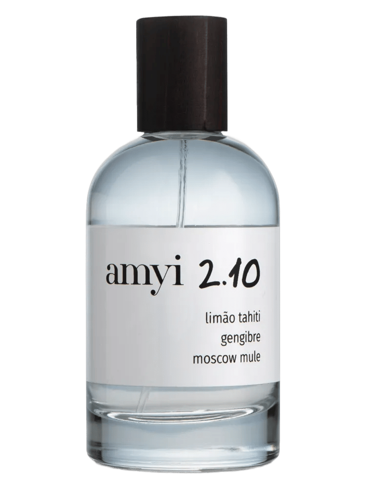 Amyi 2.10 by Amyi