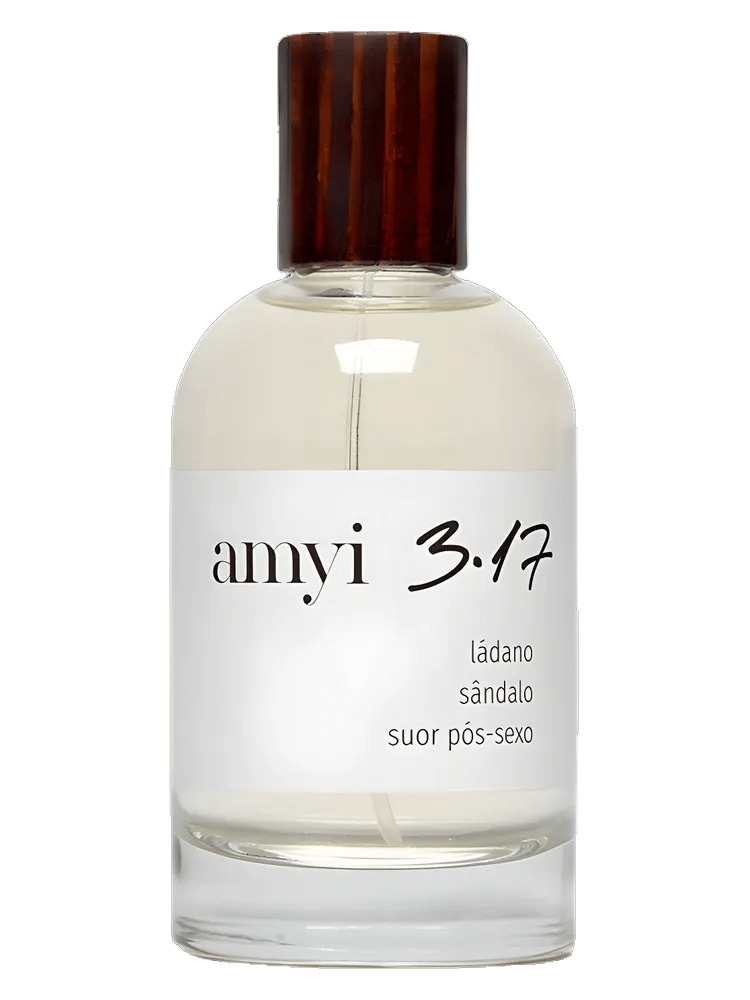 Amyi 3.17 by Amyi