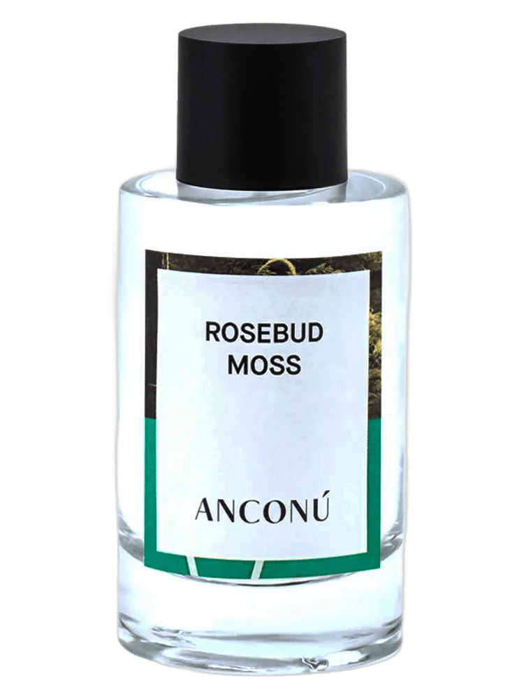 Rosebud Moss by Anconu