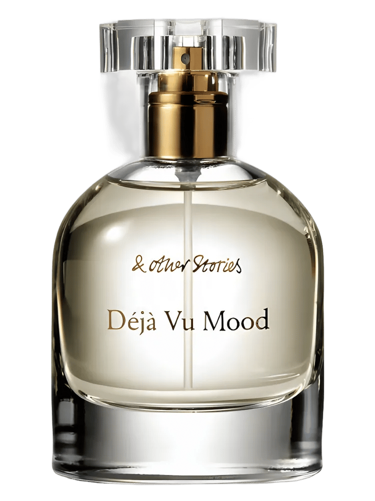 Déjà Vu Mood by And Other Stories