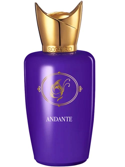 Andante by Sospiro