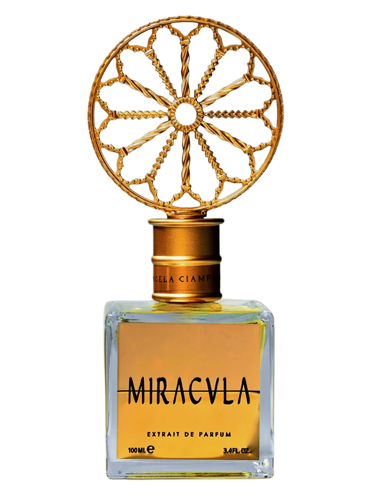 Miracula by Angela Ciampagna