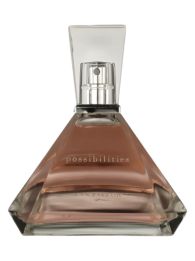 Possibilities by Ann Taylor