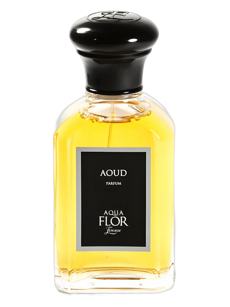 Aoud by Aquaflor Firenze