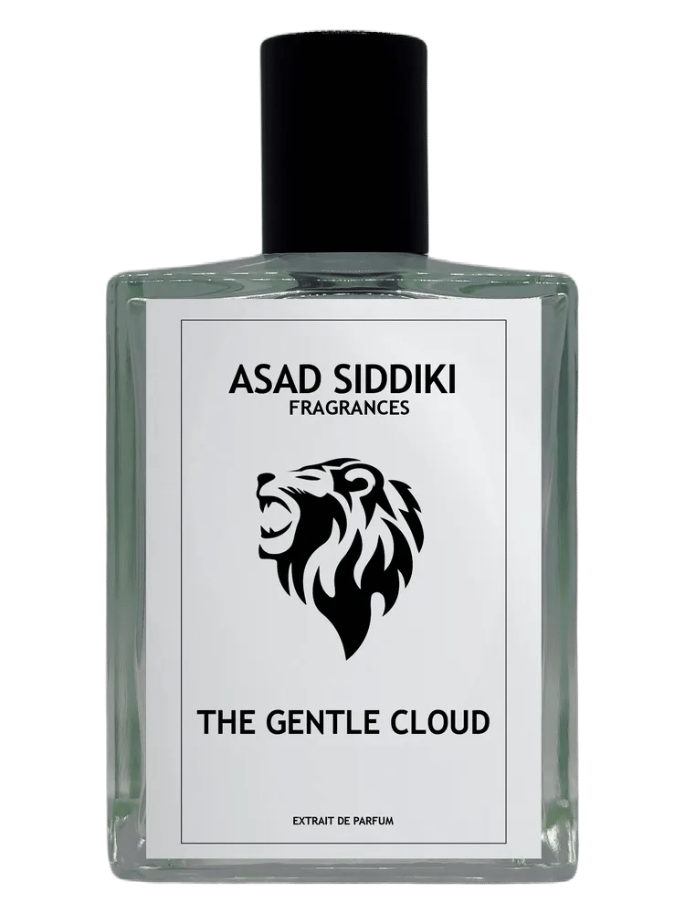The Gentle Cloud by Asad Siddiki