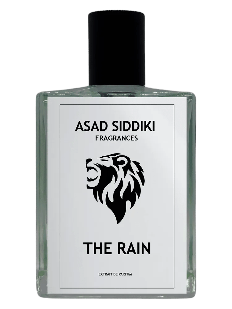 The Rain by Asad Siddiki